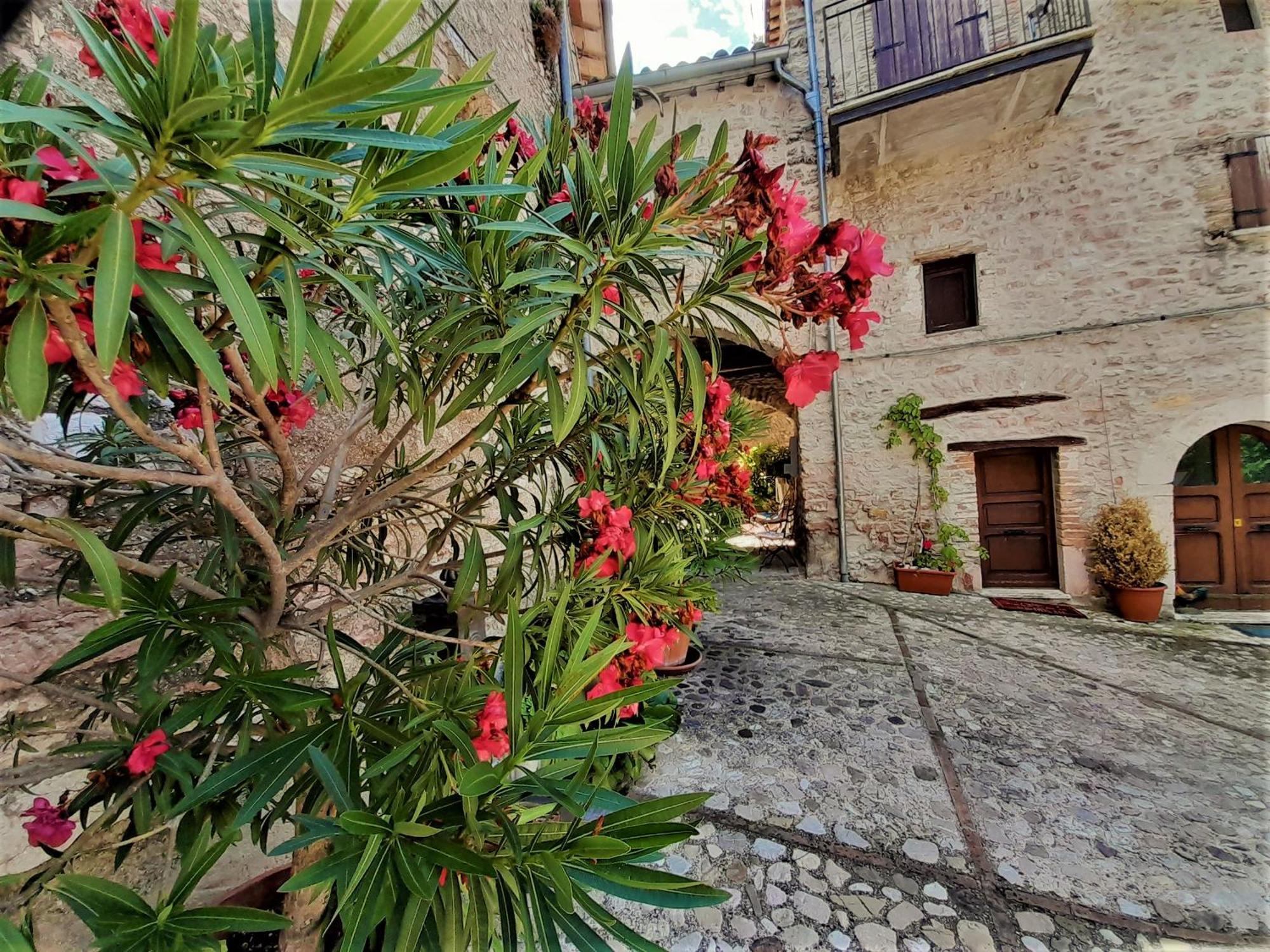 Eremo Di Santo Apollinare Lägenhet Messenano Exteriör bild